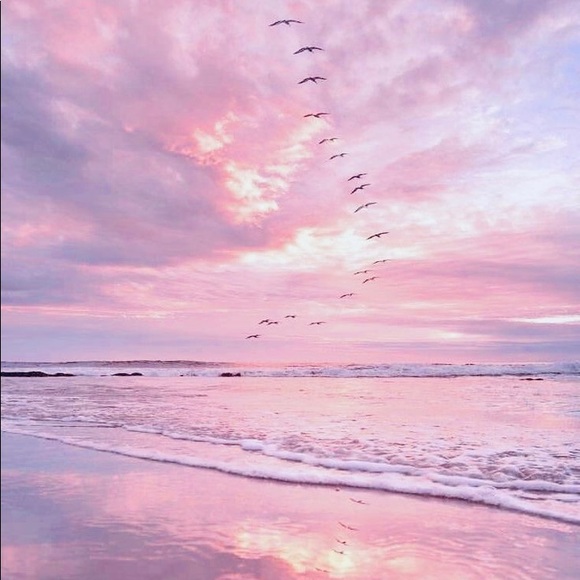 Meet your Posher, Lexy - Picture 1 of 1